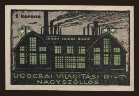 Реверс банкноты 1 CZK Ugocsai Világítási Rt.; Nagyszőllős (Węgry) 1919