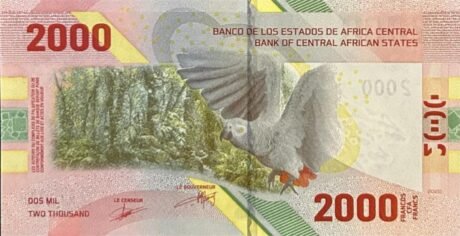 Подтверждено выпуск новой банкноты в 2000 франков (B113b) центральноафриканских государств.