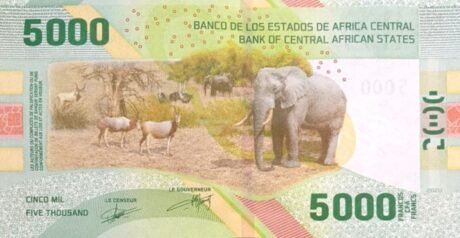Подтверждено выпуск новой банкноты в 5000 франков (B114b) центральноафриканских государств.