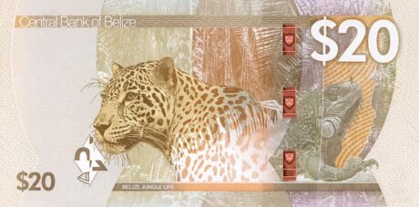 Реверс банкноты 20 доллара (Белиз) 2025 года