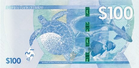 Реверс банкноты 100 доллара (Белиз) 2025 года