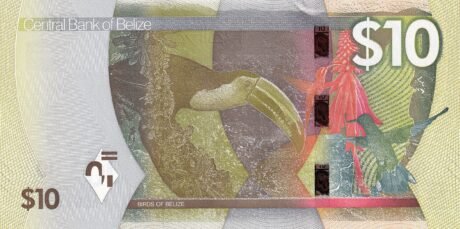 Реверс банкноты 10 доллара (Белиз) 2025 года