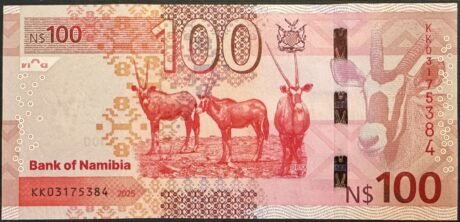 Реверс банкноты 100 долларов (Намибия) 2025 года