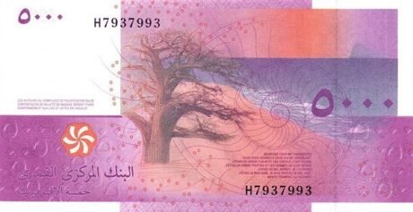 Реверс банкноты 5000 франков (Коморы) 2025 года