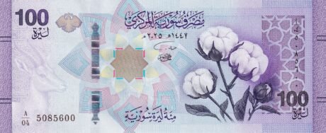 Аверс банкноты 100 фунтов (Сирия) 2025 года
